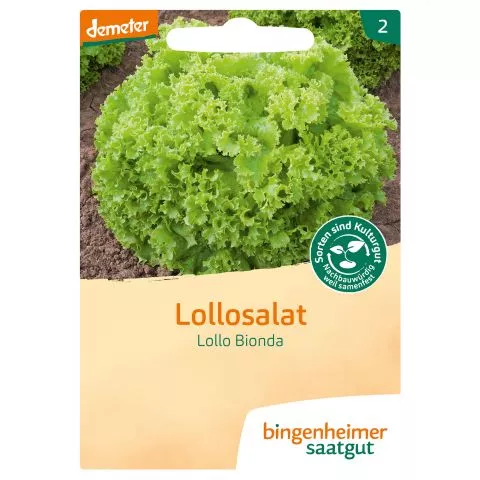 Pflcksalat Lollo Bionda (Bingenheimer Saatgut)