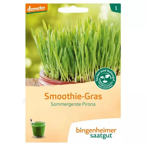 Smoothie-Gras (Bingenheimer Saatgut)