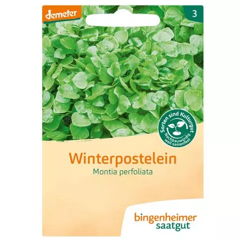 Winterpostelein (Bingenheimer Saatgut)