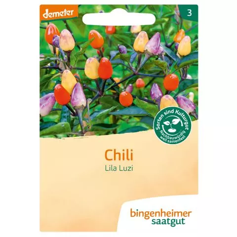 Chilli Lila Luzi (Bingenheimer Saatgut)