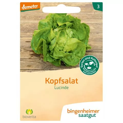 Kopf Salat Lucinde (Bingenheimer Saatgut)