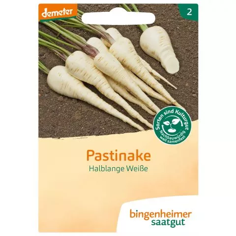 Pastinake halblang, wei (Bingenheimer Saatgut)