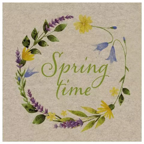 Lunchserviette Spring Time (Paper+Design)