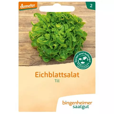 Till Eichblattsalat, demeter (Bingenheimer Saatgut)