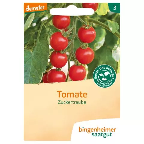 Zuckertraube Tomate, demeter (Bingenheimer Saatgut)