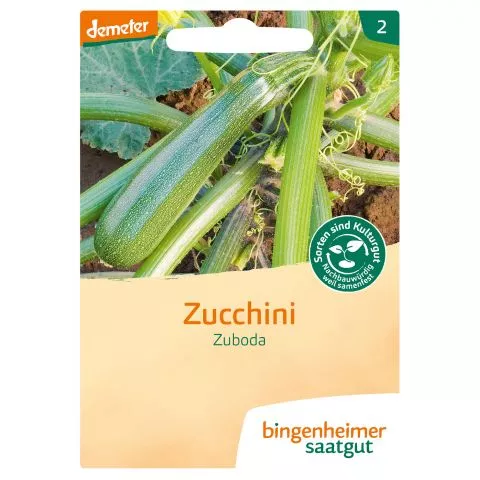 Zuboda Zucchini, demeter (Bingenheimer Saatgut)