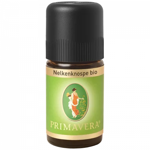 Nelkenknospe bio (Primavera)